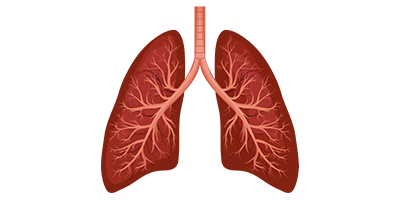 Kvėpavimo sistemos ligos